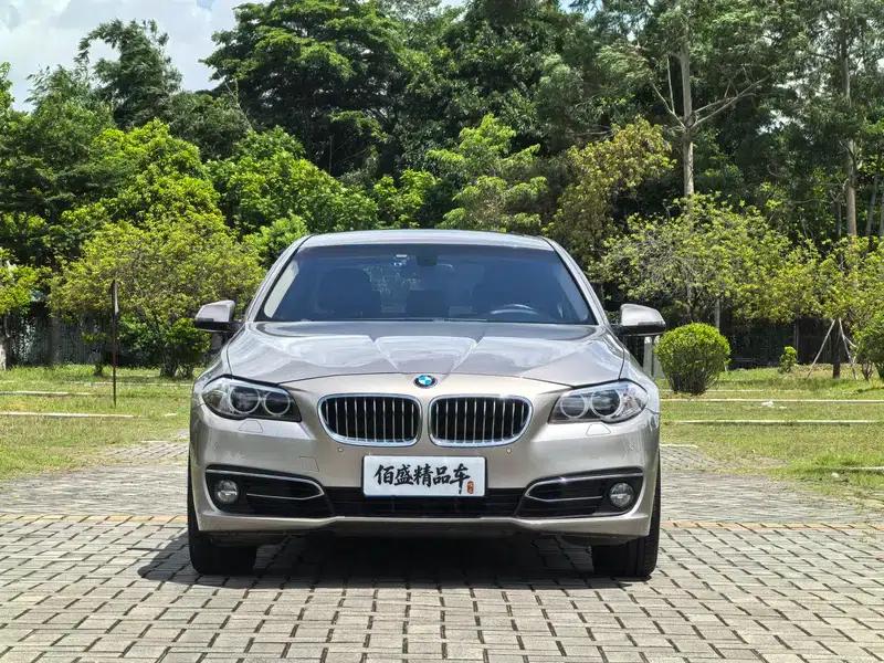 2014 BMW 5 Series 525Li Luxury Design Package — миниатюра 2