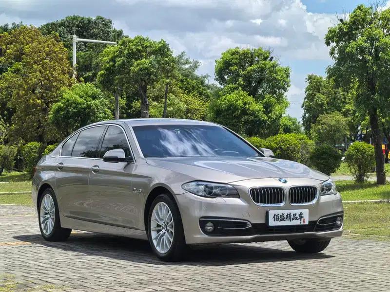 2014 BMW 5 Series 525Li Luxury Design Package — миниатюра 3