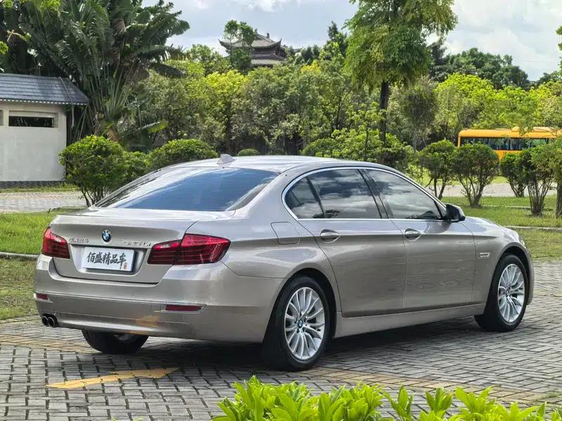 2014 BMW 5 Series 525Li Luxury Design Package — миниатюра 7