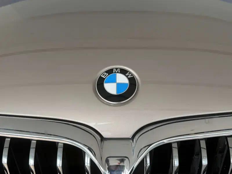 2021 BMW 5 Series 530Li Executive Luxury Package — миниатюра 17