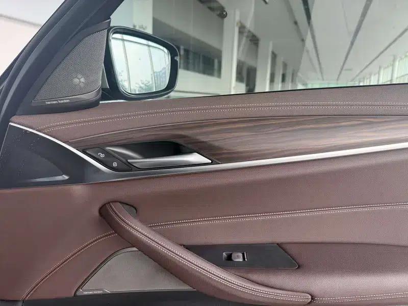 2021 BMW 5 Series 530Li Executive Luxury Package — миниатюра 20