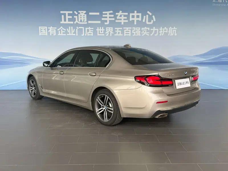 2021 BMW 5 Series 530Li Executive Luxury Package — миниатюра 5