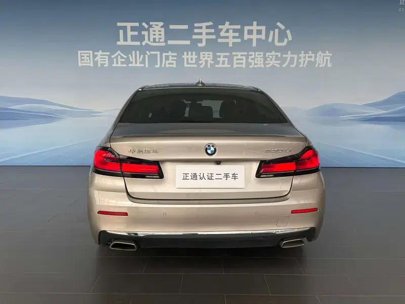 2021 BMW 5 Series 530Li Executive Luxury Package — миниатюра 6