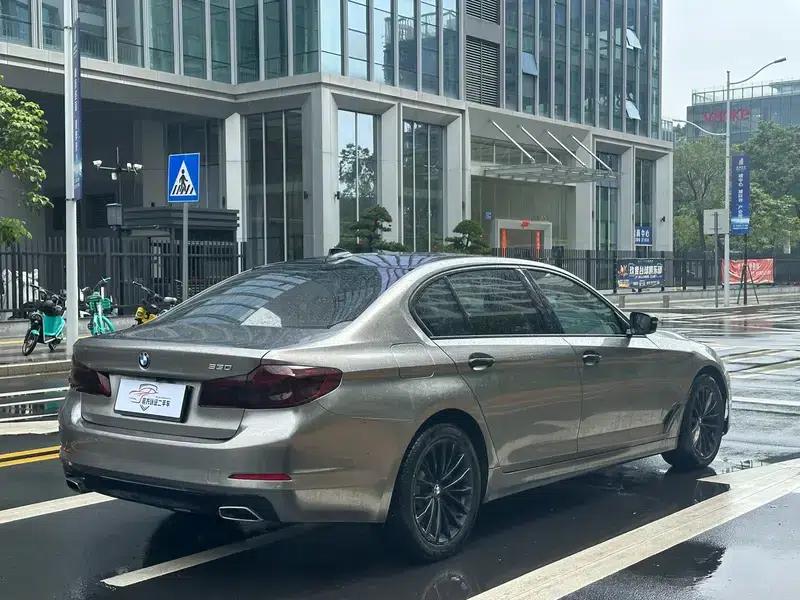 2018 BMW 5 Series Facelift 530Li Leading Luxury Package — миниатюра 6