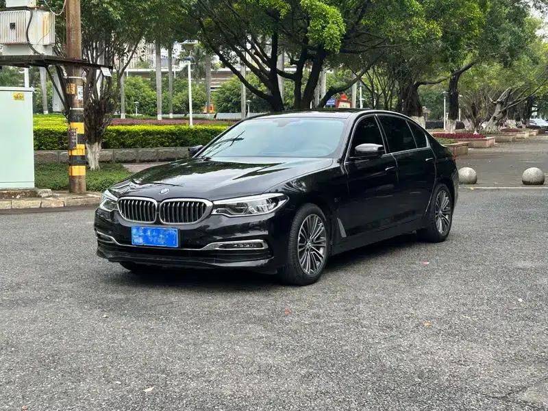 BMW 5 Series 2019 530Li Luxury Package — миниатюра 1