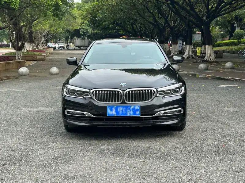 BMW 5 Series 2019 530Li Luxury Package — миниатюра 2
