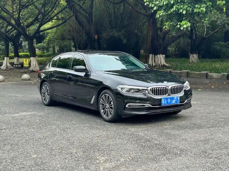 BMW 5 Series 2019 530Li Luxury Package — миниатюра 3