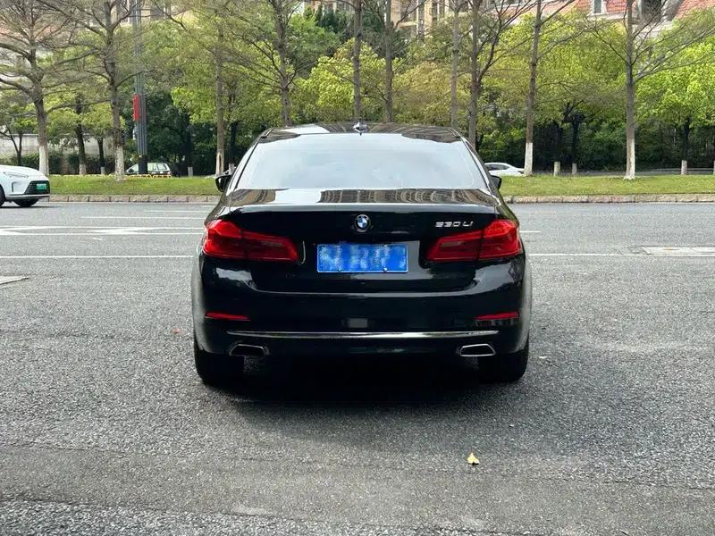 BMW 5 Series 2019 530Li Luxury Package — миниатюра 5