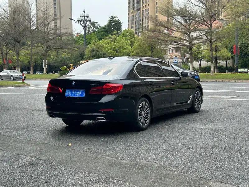 BMW 5 Series 2019 530Li Luxury Package — миниатюра 6