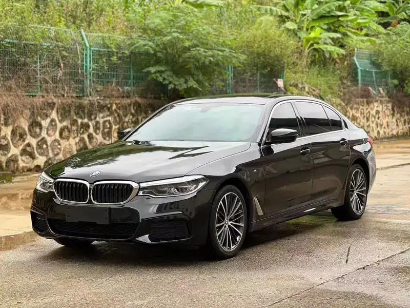 2020 BMW 5 Series 530Li Luxury M Sport Package — миниатюра 1