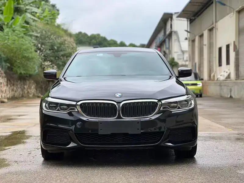 2020 BMW 5 Series 530Li Luxury M Sport Package — миниатюра 2