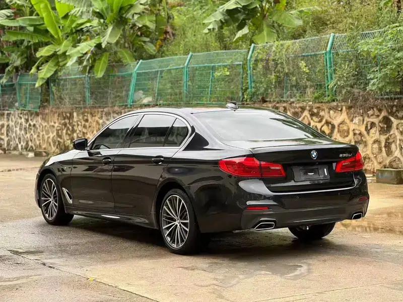 2020 BMW 5 Series 530Li Luxury M Sport Package — миниатюра 4