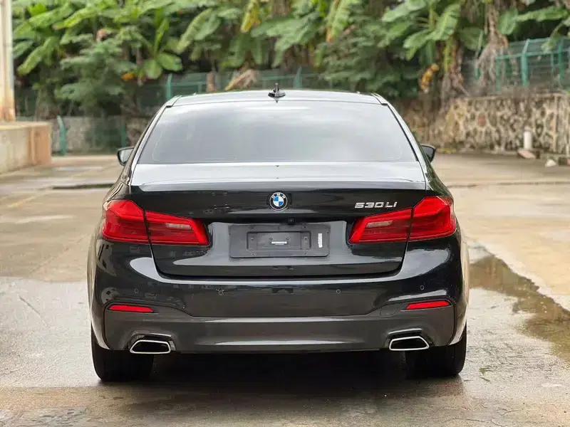 2020 BMW 5 Series 530Li Luxury M Sport Package — миниатюра 5