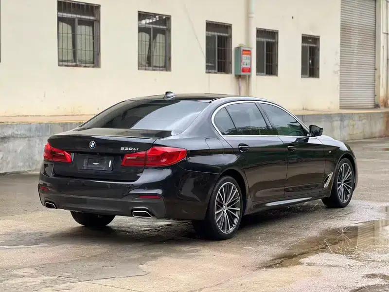 2020 BMW 5 Series 530Li Luxury M Sport Package — миниатюра 6