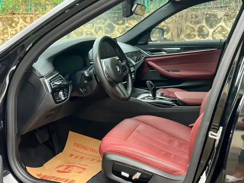 2020 BMW 5 Series 530Li Luxury M Sport Package — миниатюра 8
