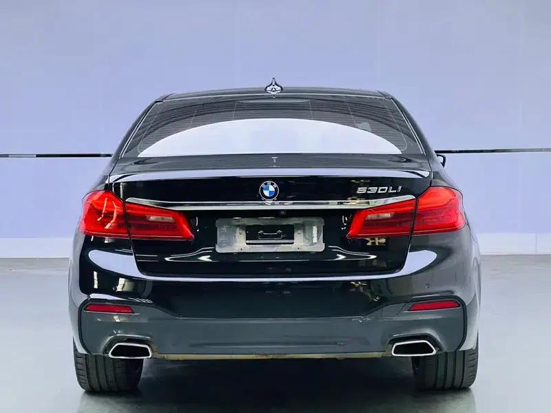 2019 BMW 5 Series 530Li Leading Edition M Sport Package — миниатюра 5