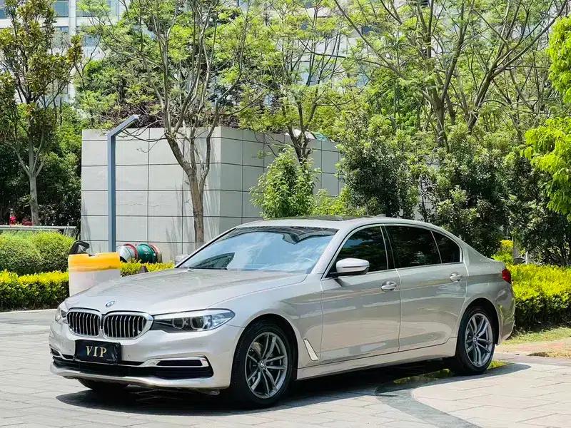 2020 BMW 5 Series 525Li Luxury Package — миниатюра 1