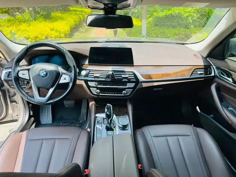 2020 BMW 5 Series 525Li Luxury Package — миниатюра 11