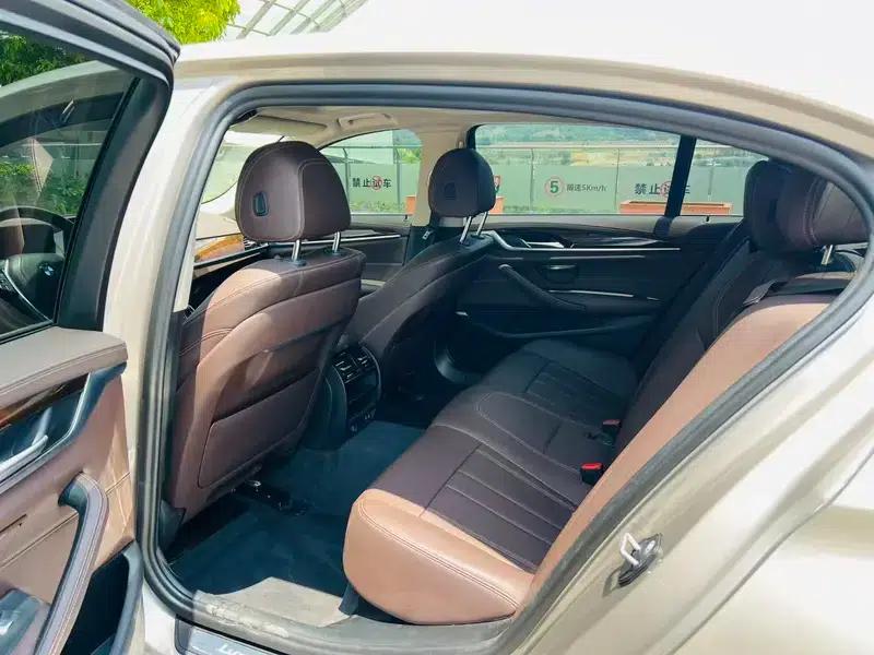 2020 BMW 5 Series 525Li Luxury Package — миниатюра 16