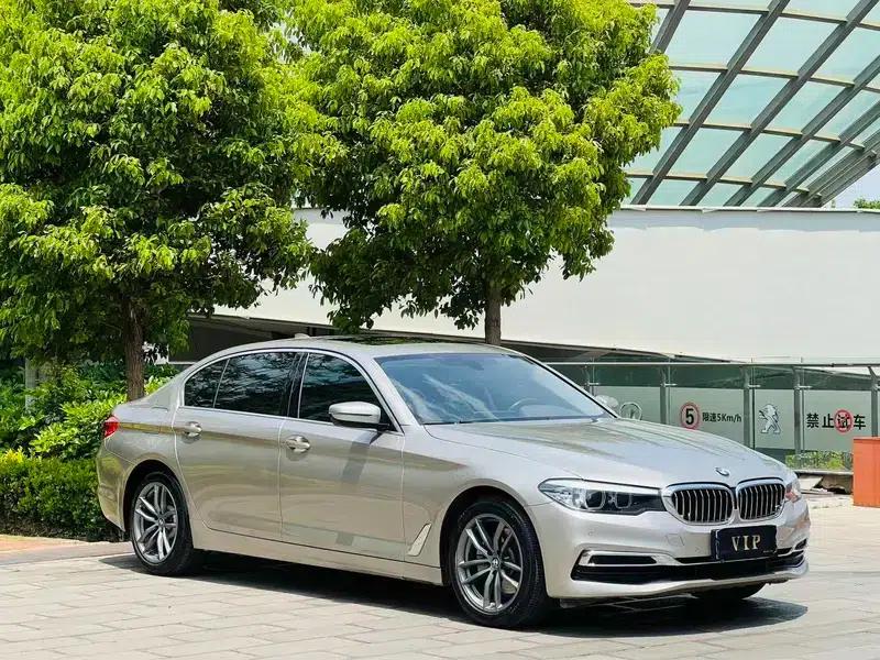 2020 BMW 5 Series 525Li Luxury Package — миниатюра 3