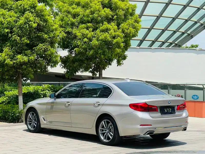 2020 BMW 5 Series 525Li Luxury Package — миниатюра 5