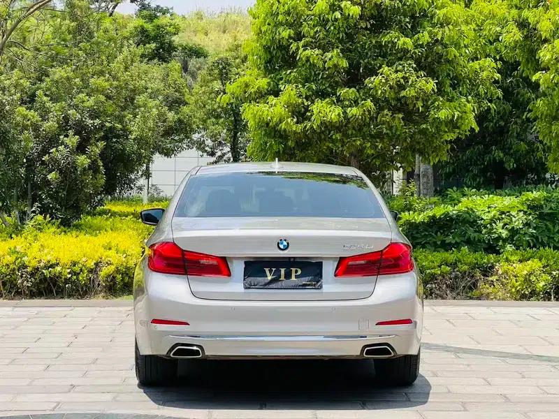 2020 BMW 5 Series 525Li Luxury Package — миниатюра 6