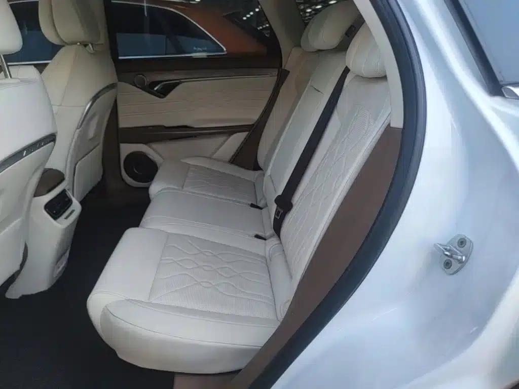 Voyah FREE 2021 AWD Standard Range Extender Exclusive Luxury Package — миниатюра 17