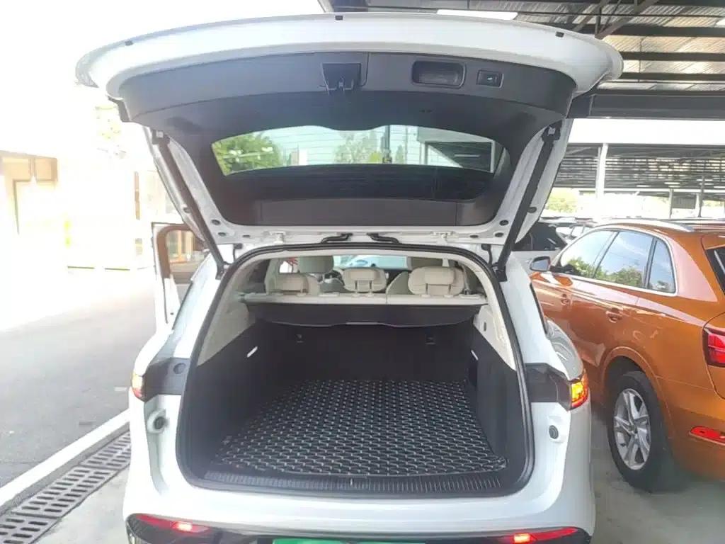 Voyah FREE 2021 AWD Standard Range Extender Exclusive Luxury Package — миниатюра 19