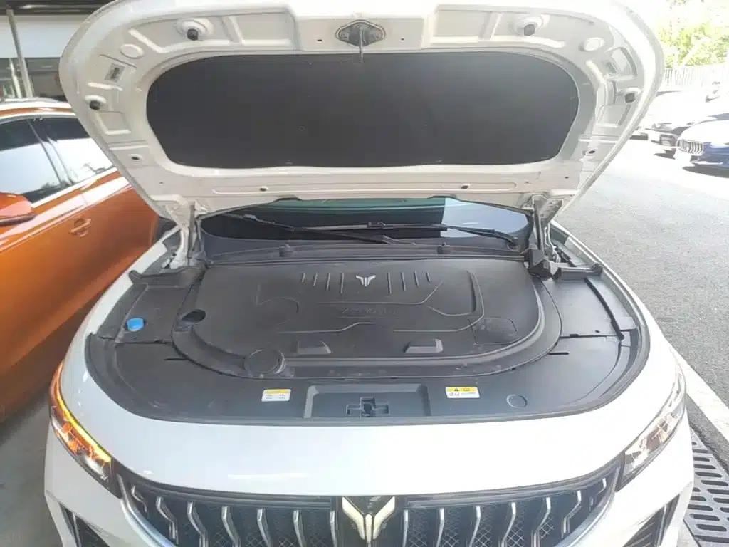 Voyah FREE 2021 AWD Standard Range Extender Exclusive Luxury Package — миниатюра 20
