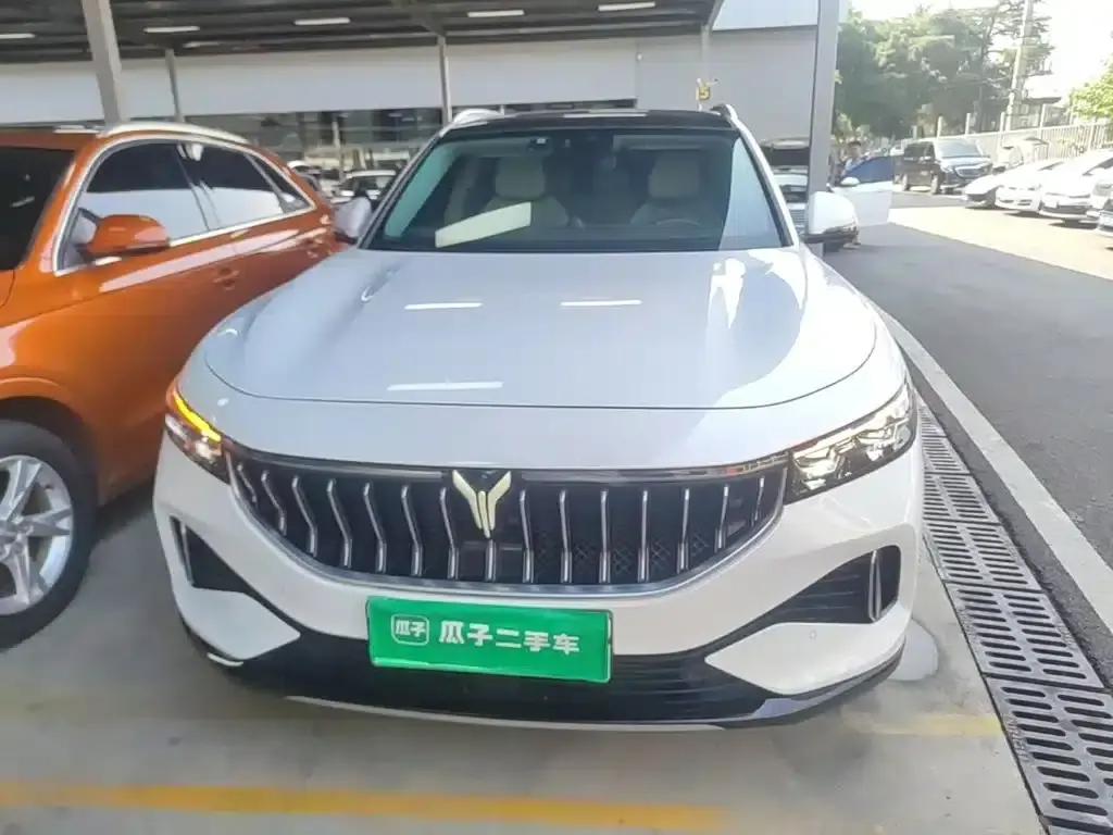 Voyah FREE 2021 AWD Standard Range Extender Exclusive Luxury Package — миниатюра 3
