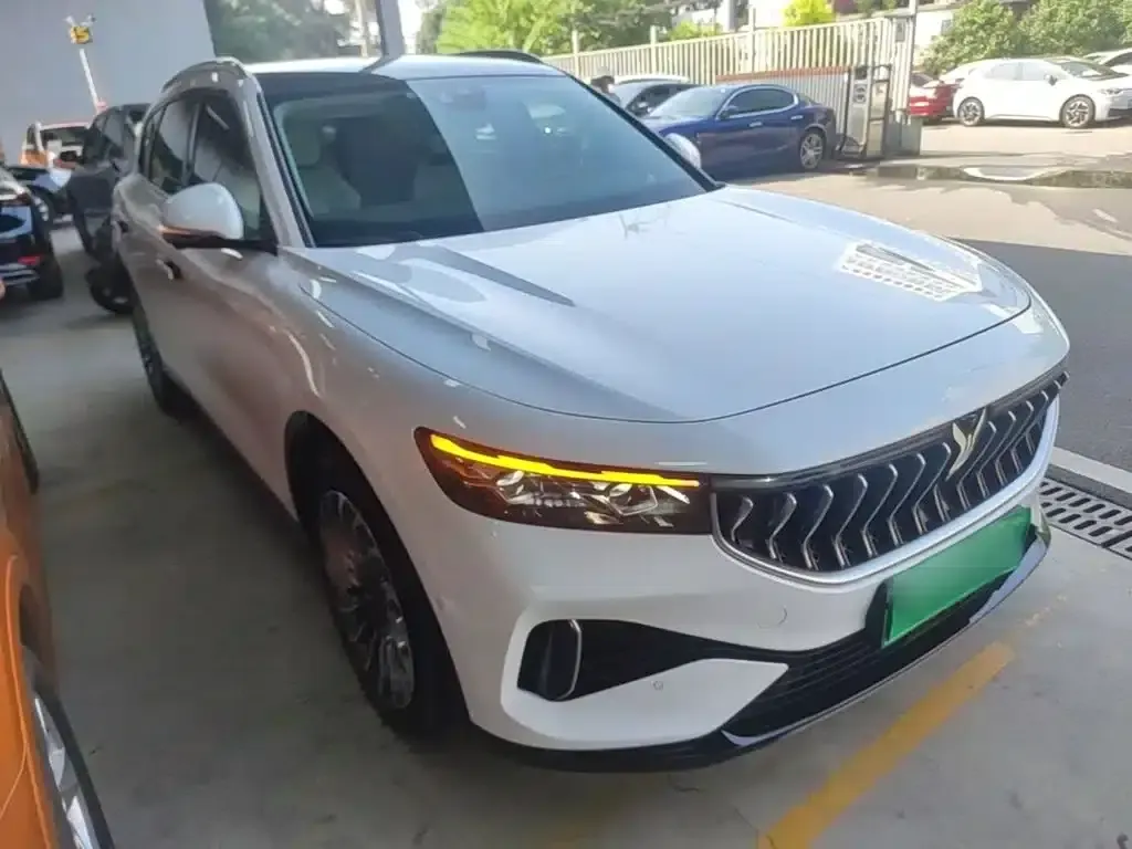 Voyah FREE 2021 AWD Standard Range Extender Exclusive Luxury Package — миниатюра 4