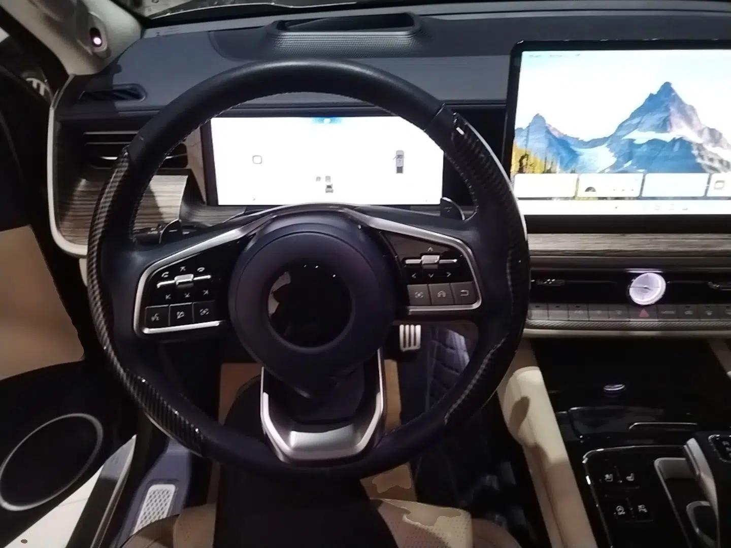 Great Wall Shanhai Poer 2023 3.0T V6 Gasoline Extreme Edition — миниатюра 13