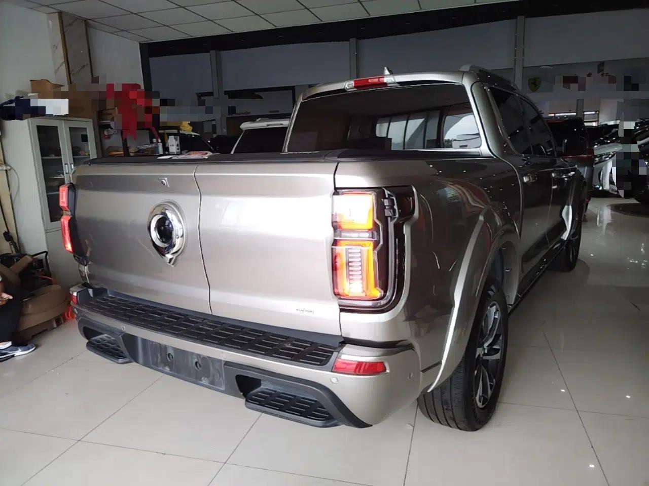 Great Wall Shanhai Poer 2023 3.0T V6 Gasoline Extreme Edition — миниатюра 6