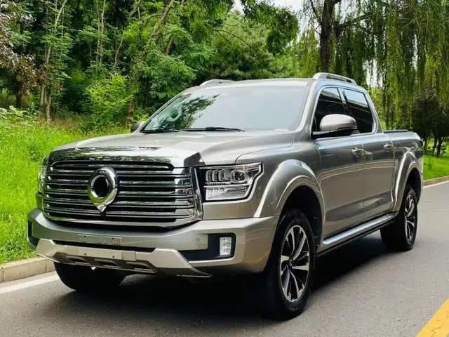 Great Wall Shanhai Poer 2023 3.0T V6 Gasoline Extreme Edition