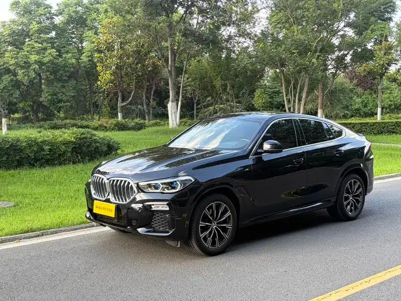 2021 BMW X6 xDrive40i M Sport Package — миниатюра 1