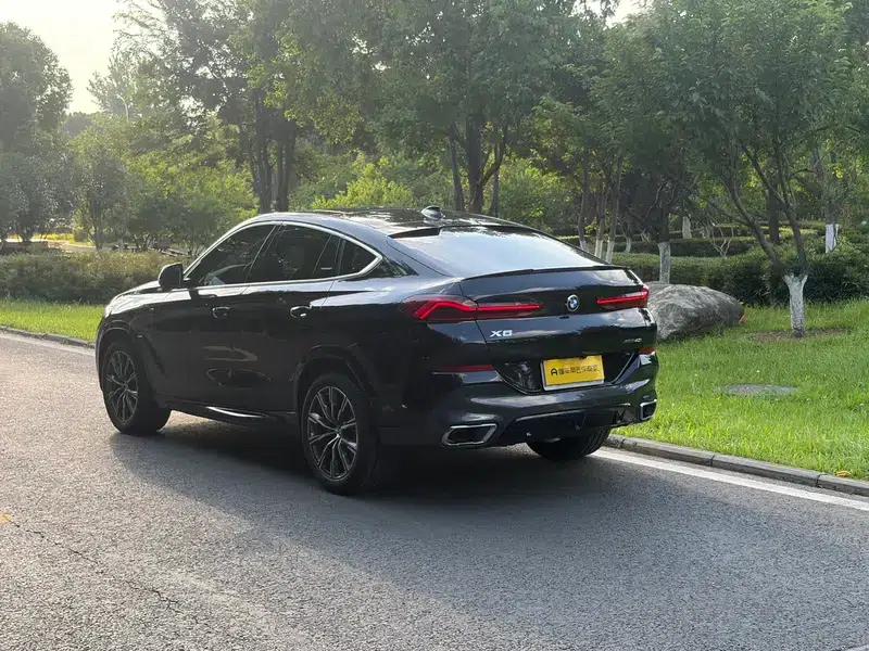 2021 BMW X6 xDrive40i M Sport Package — миниатюра 5
