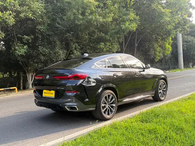 2021 BMW X6 xDrive40i M Sport Package — миниатюра 7