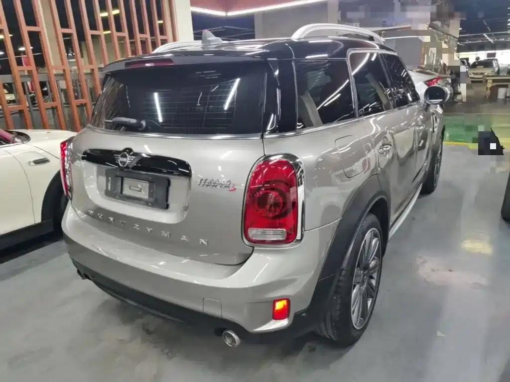 2018 MINI COUNTRYMAN 2.0T COOPER S ALL4 Artist — миниатюра 7