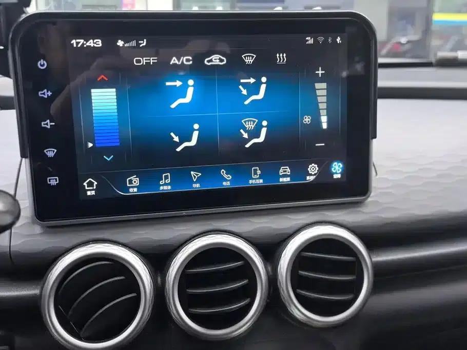 ORA Black Cat 2021 Model 351km Luxury — миниатюра 13