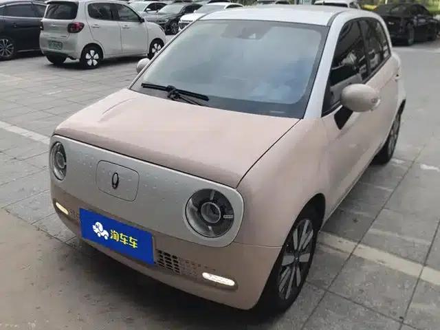 ORA Black Cat 2021 Model 351km Luxury