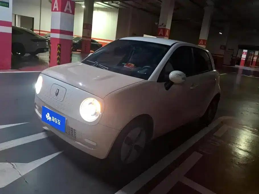 ORA Black Cat 2022 Model 301km Pet Edition Lithium Iron Phosphate — миниатюра 1