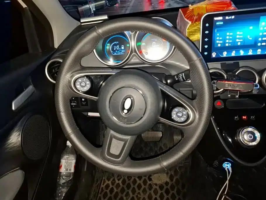 ORA Black Cat 2022 Model 301km Pet Edition Lithium Iron Phosphate — миниатюра 15