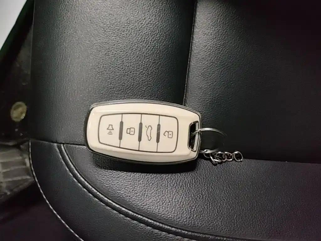 ORA Black Cat 2021 Model 351km Standard Edition — миниатюра 9