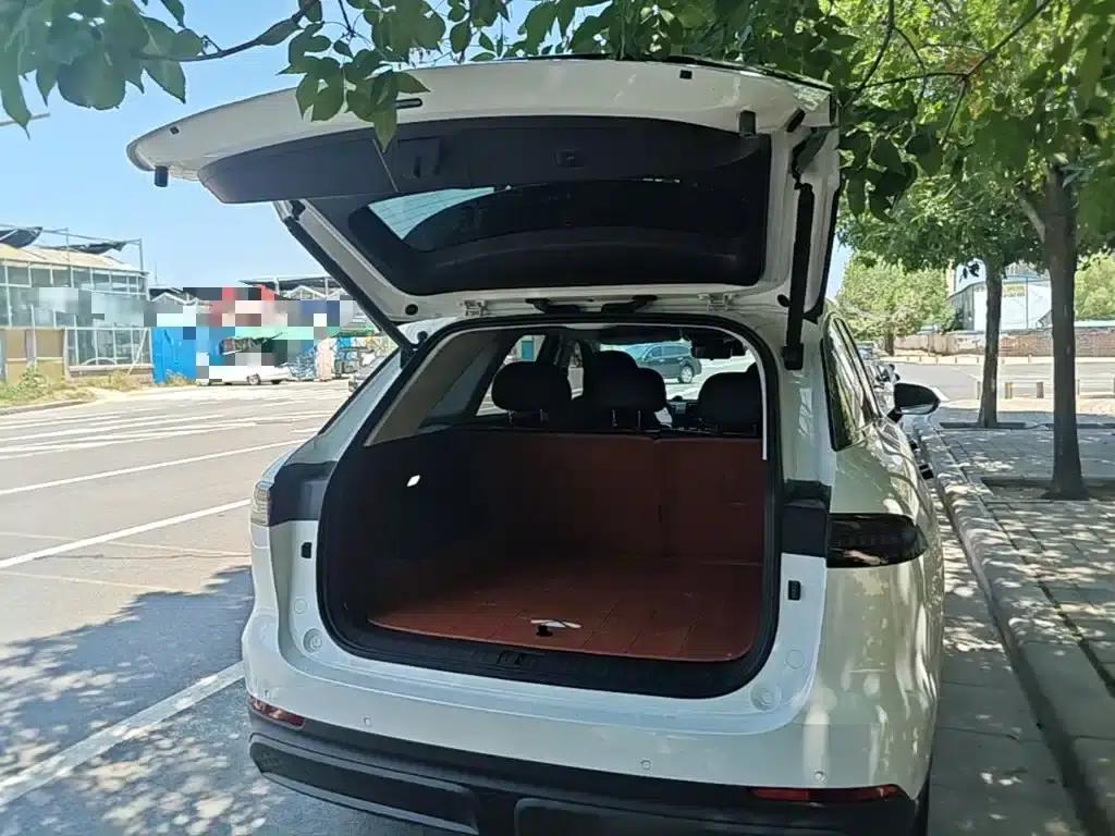 Fengyun T9 2025 Model 120 Long Range Premium Edition 5-Seater Lithium Iron Phosphate — миниатюра 19