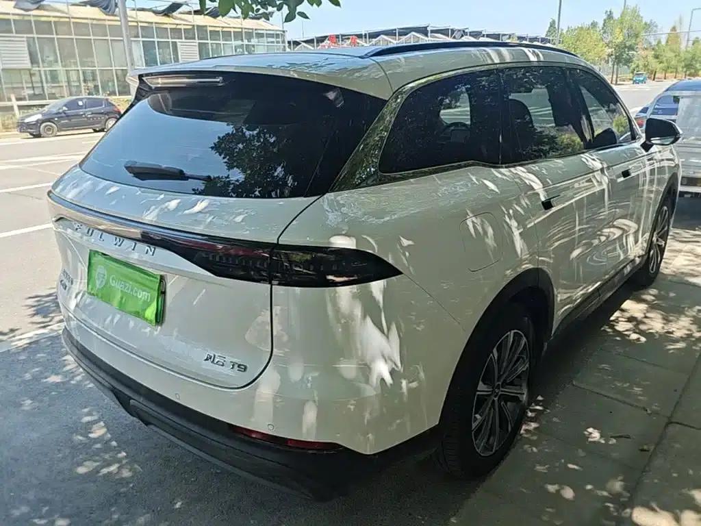 Fengyun T9 2025 Model 120 Long Range Premium Edition 5-Seater Lithium Iron Phosphate — миниатюра 7
