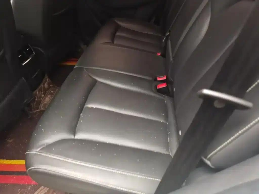 Roewe RX5 2020 20T Automatic 4G Connected Super Flagship Edition — миниатюра 24