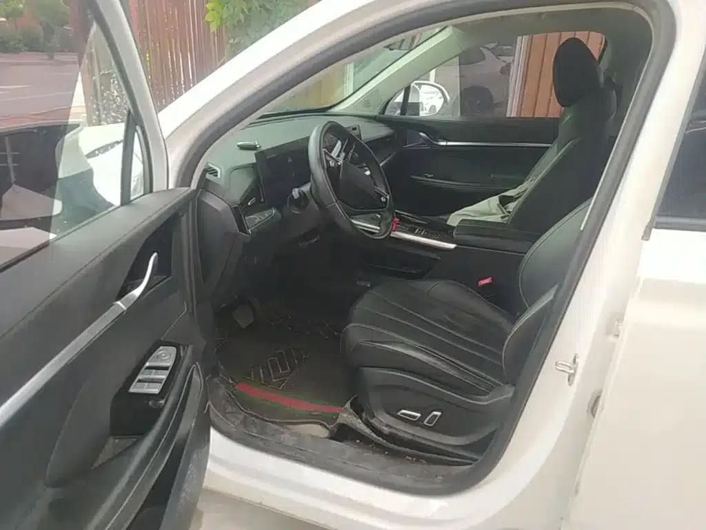 Roewe RX5 MAX 2022 1.5T Automatic Luxury Edition — миниатюра 16