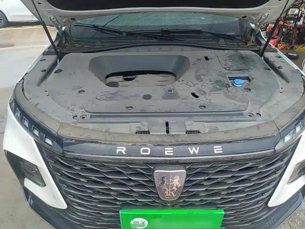 Roewe RX5 MAX 2022 1.5T Automatic Luxury Edition — миниатюра 20
