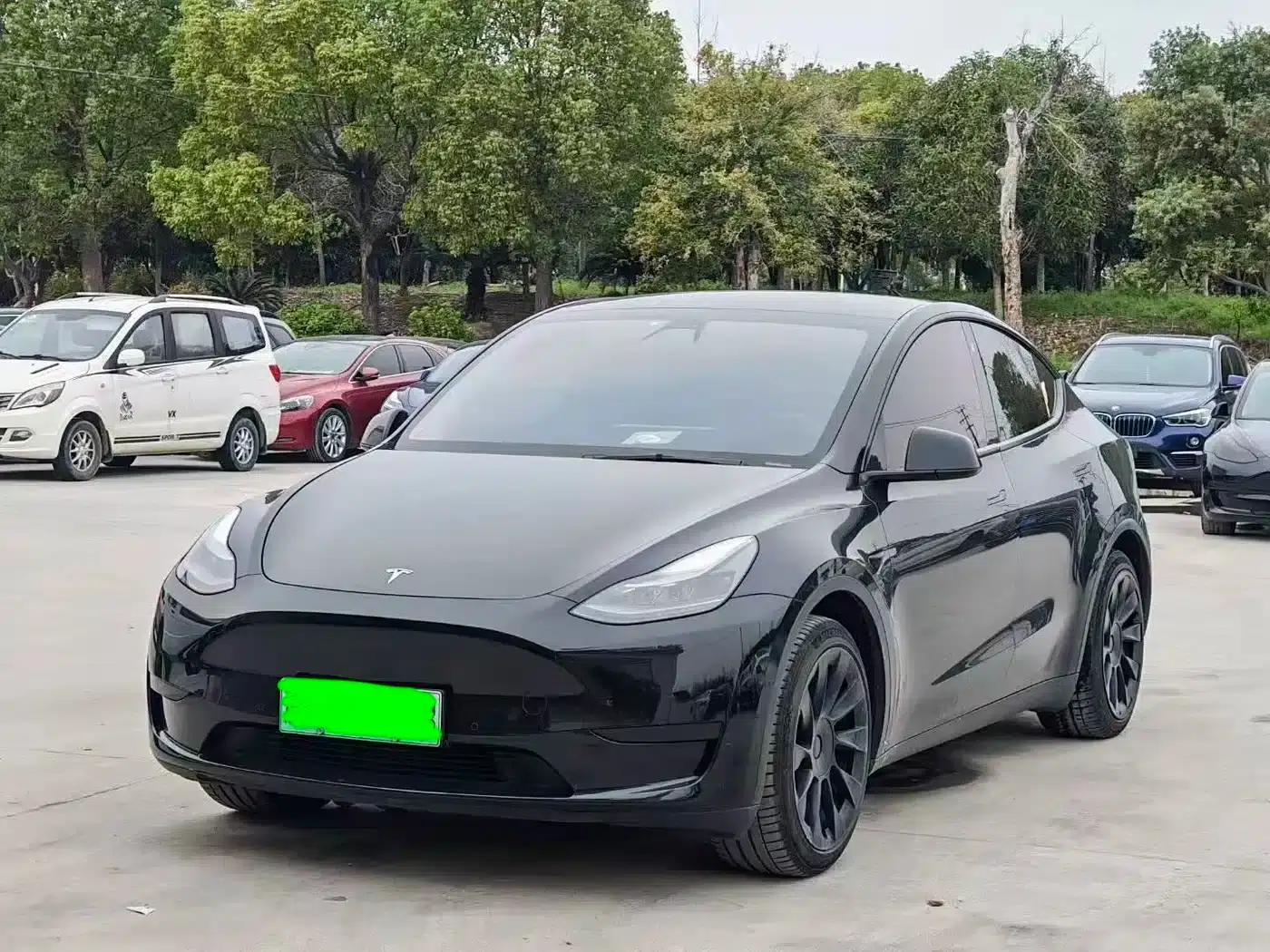 Model Y 2021 Standard Range Rear-Wheel Drive — миниатюра 1