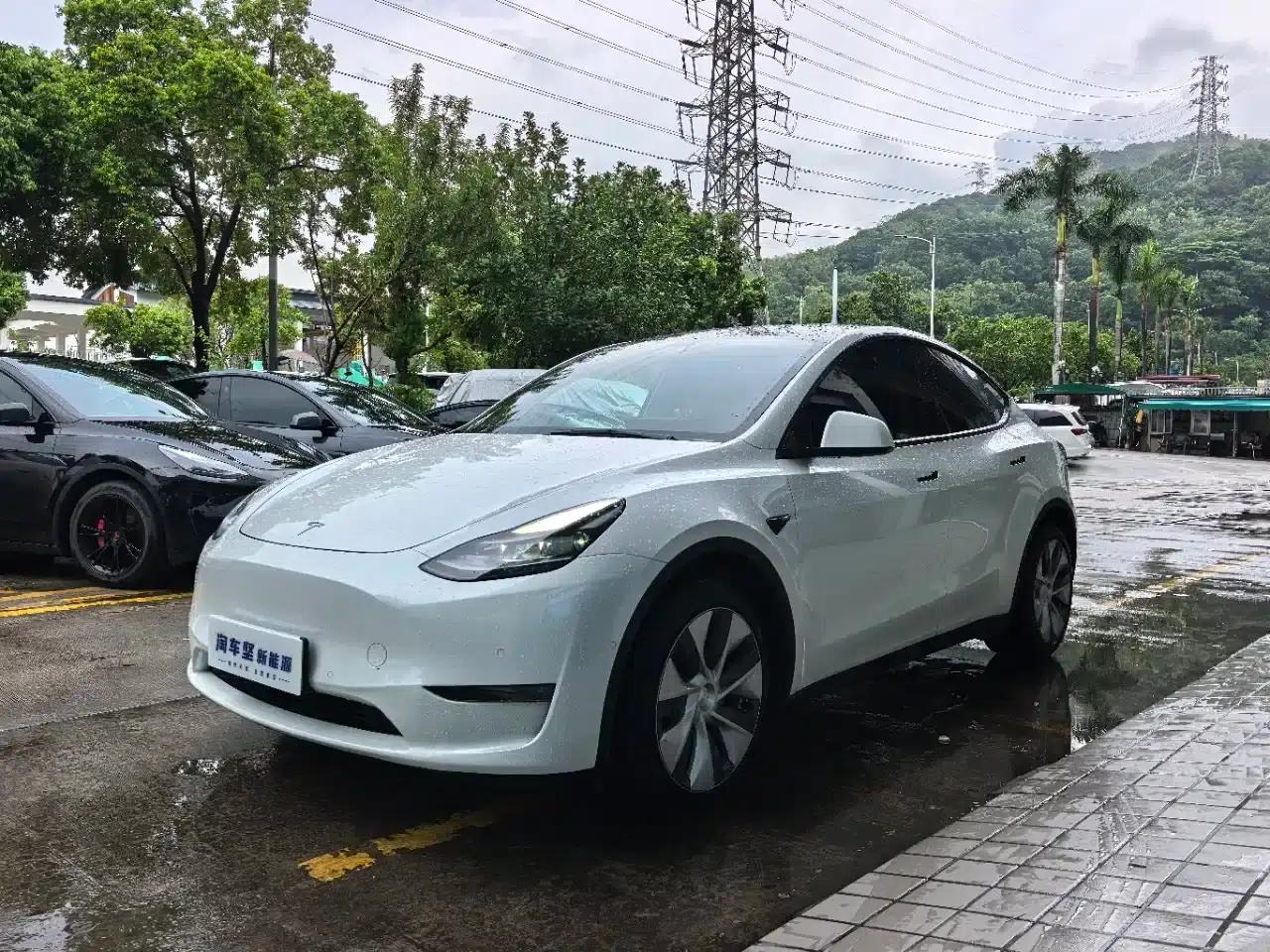 Model Y 2021 Standard Range Rear-Wheel Drive — миниатюра 1